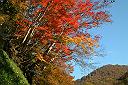 秋山郷の紅葉'05