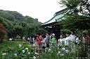 海光山慈照院長谷寺 