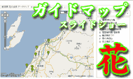 新潟県内の 花の見どころ google map でご案内