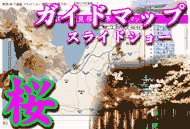 新潟県愛の桜の名所を googlemap でご案内