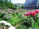 県立植物園