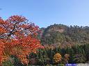 麒麟山公園の紅葉