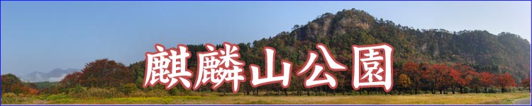 麒麟山公園 秋 紅葉
