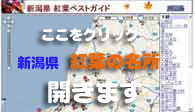 新潟県内 紅葉花の名所見どころ google map でご案内します