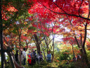 松雲山荘の紅葉