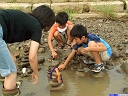 栃尾 の 石積み